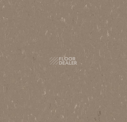 Линолеум Forbo Marmoleum Solid Piano 3631-363135 otter фото 1 | FLOORDEALER